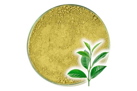 Herbata zielona Sproszkowana MATCHA POWDER TEA Kulinarna Odsłona !!